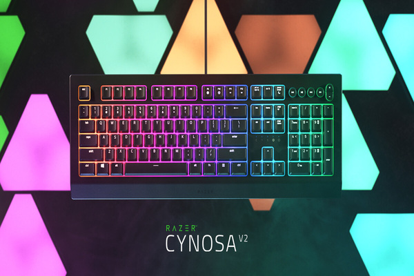 کیبورد Razer Cynosa V2